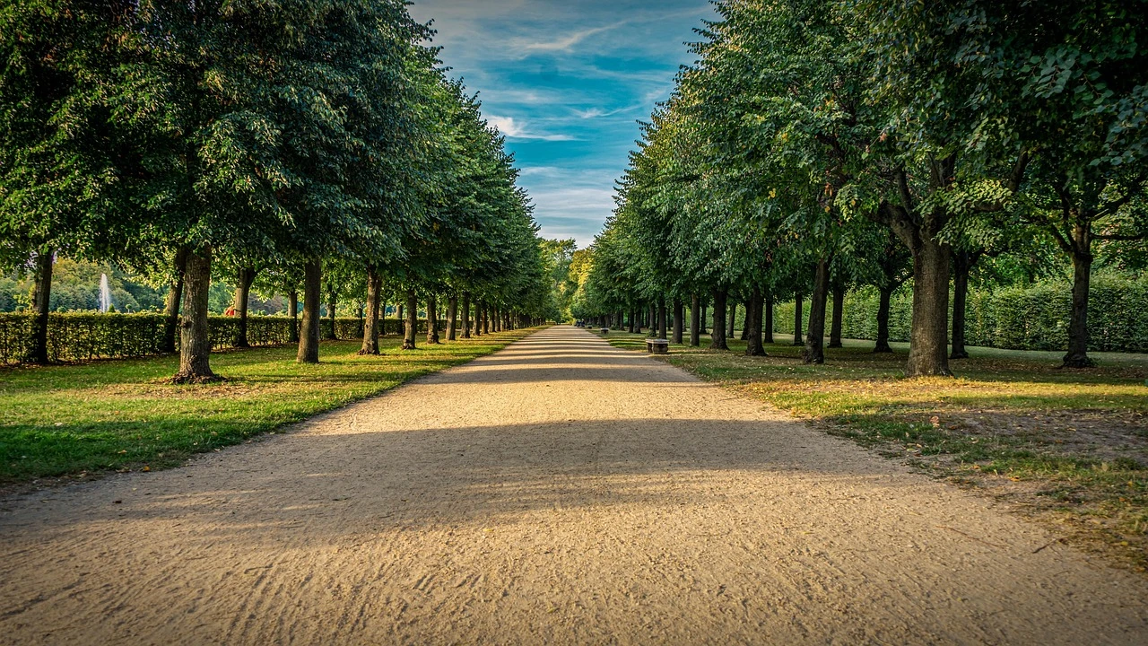 Can’t be too safe – adopt effective strategy