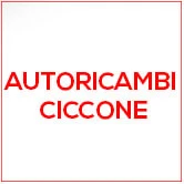 AutoRicambi Ciccone
